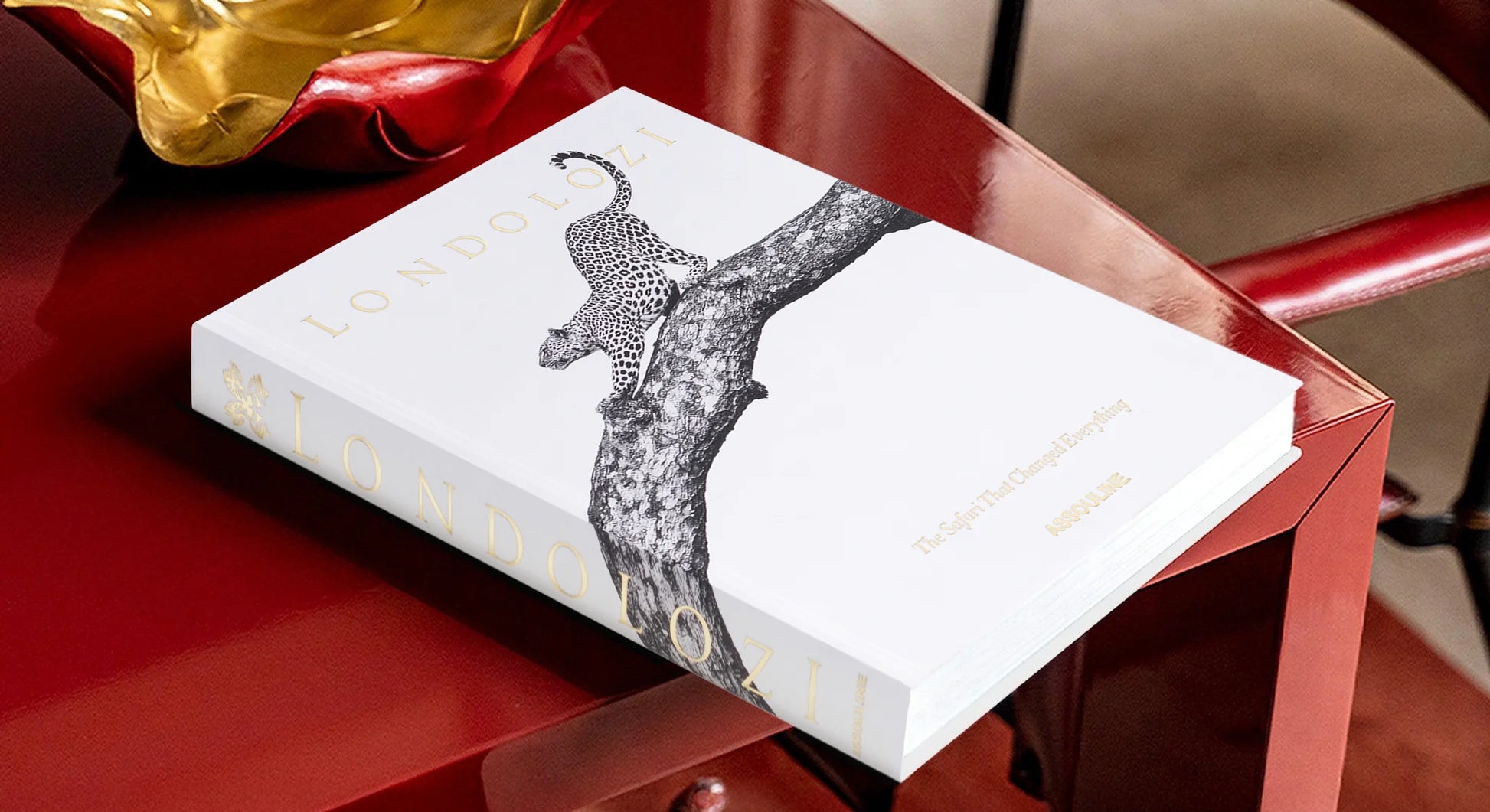 Libro de lujo Assouline Londolozi sobre mesa roja brillante, con cuenco dorado, realzando la decoración.