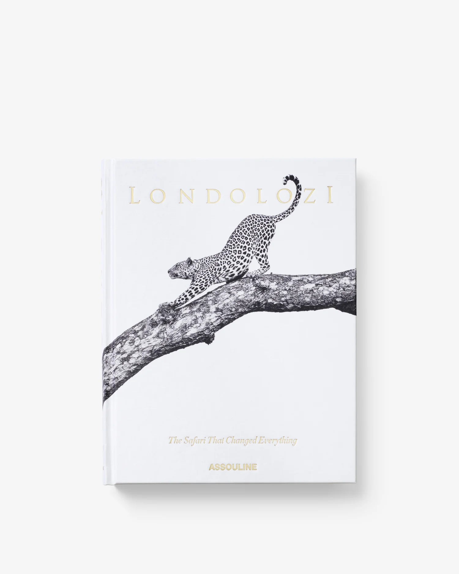 Portada del exclusivo libro Assouline Londolozi, con diseño de safari y leopardo, para decoración.