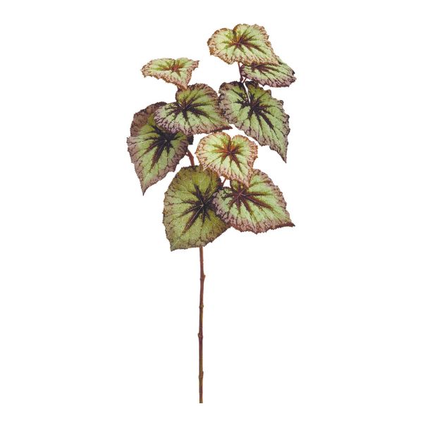 Hoja de begonia artificial verde para decoración - Vilá Decoración - Muebles y decoración en Medellín y Colombia