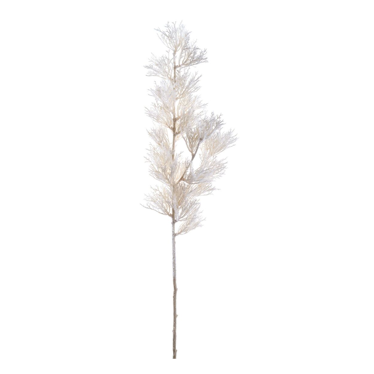 Coral de rocío blanco para decoración interior - Vilá Decoración - Muebles y decoración en Medellín y Colombia