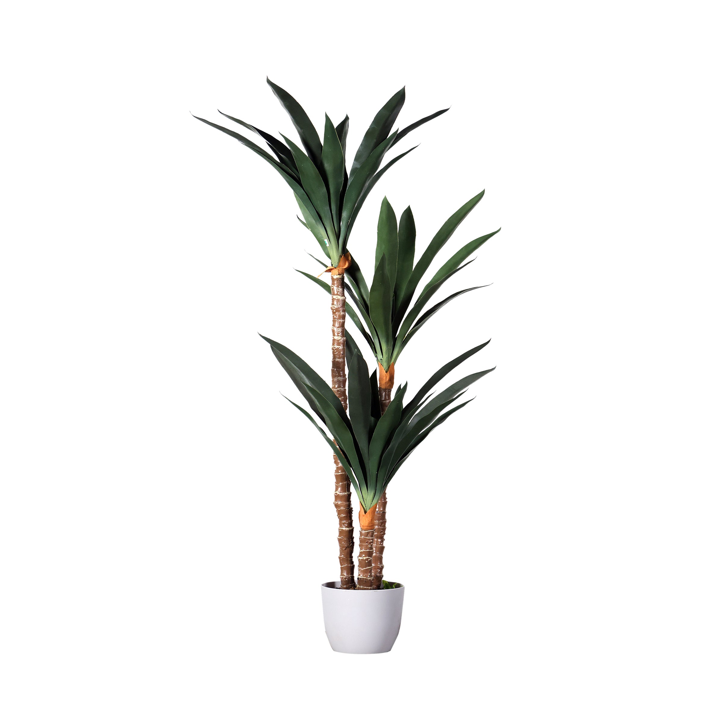 Planta Dracena decorativa con macetero blanco - Vilá Decoración - Muebles y decoración en Medellín y Colombia