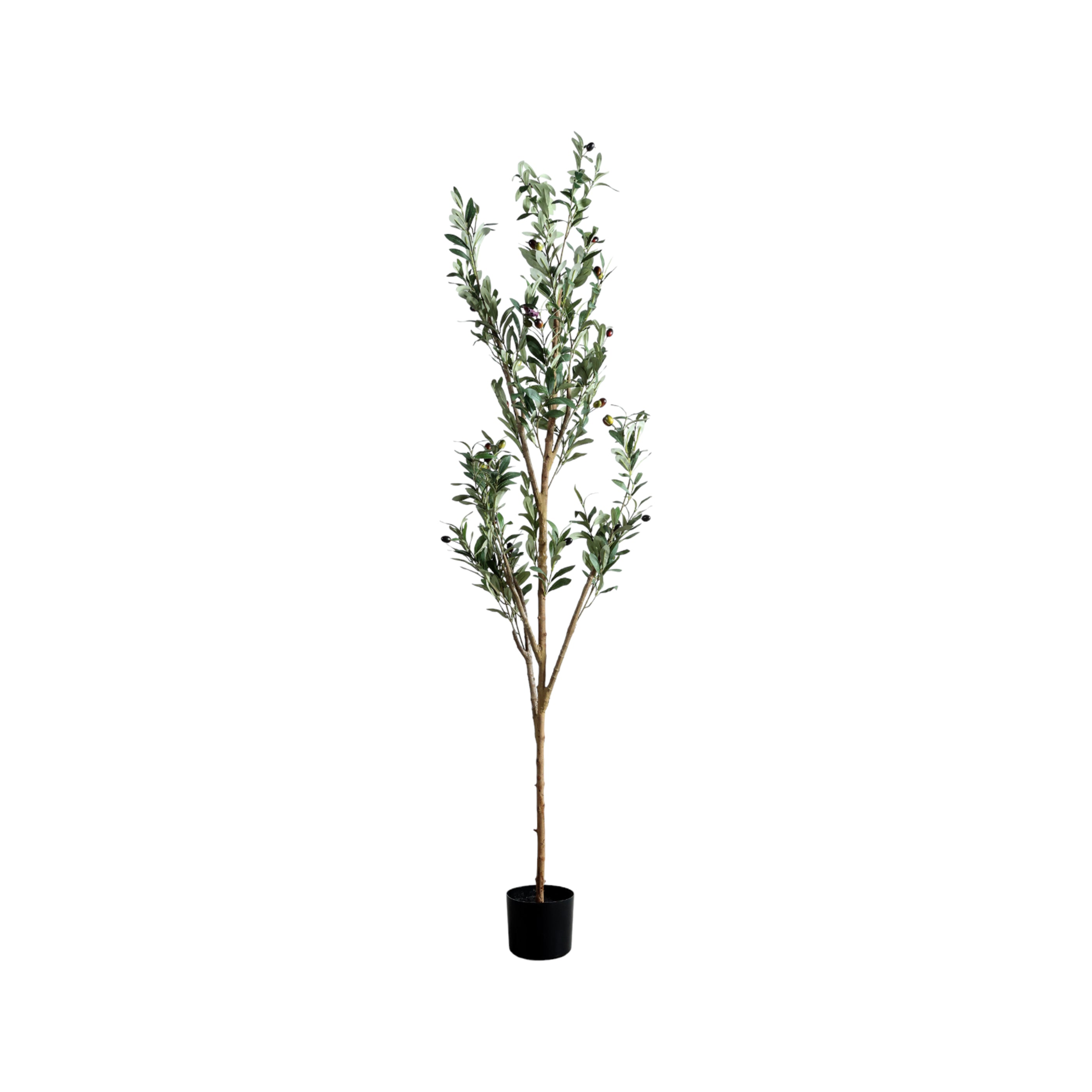 Árbol decorativo de olivo con frutos 1.83 m - Vilá Decoración - Muebles y decoración en Medellín y Colombia