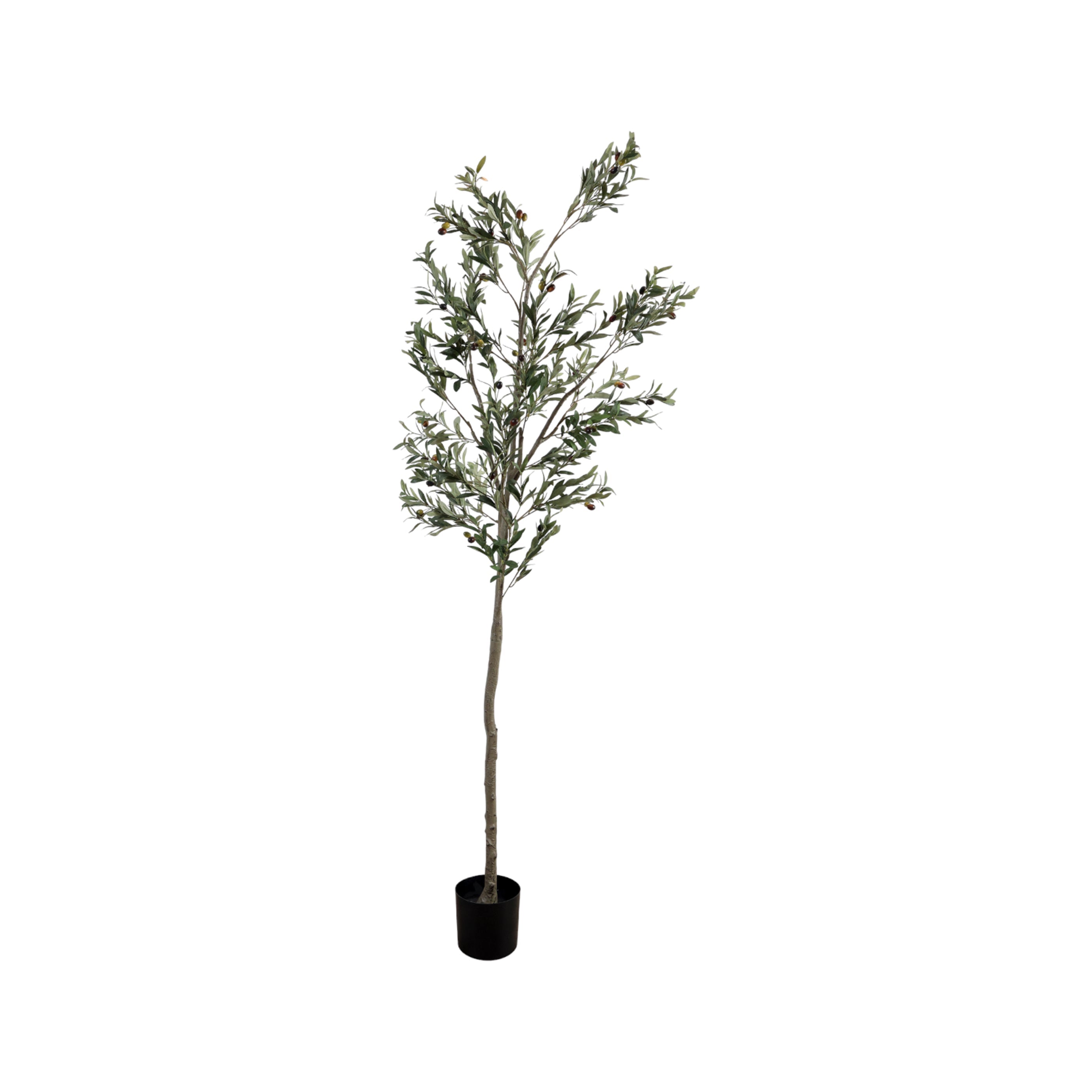 Árbol de Olivo decorativo realista 2,35 m - Vilá Decoración - Muebles y decoración en Medellín y Colombia