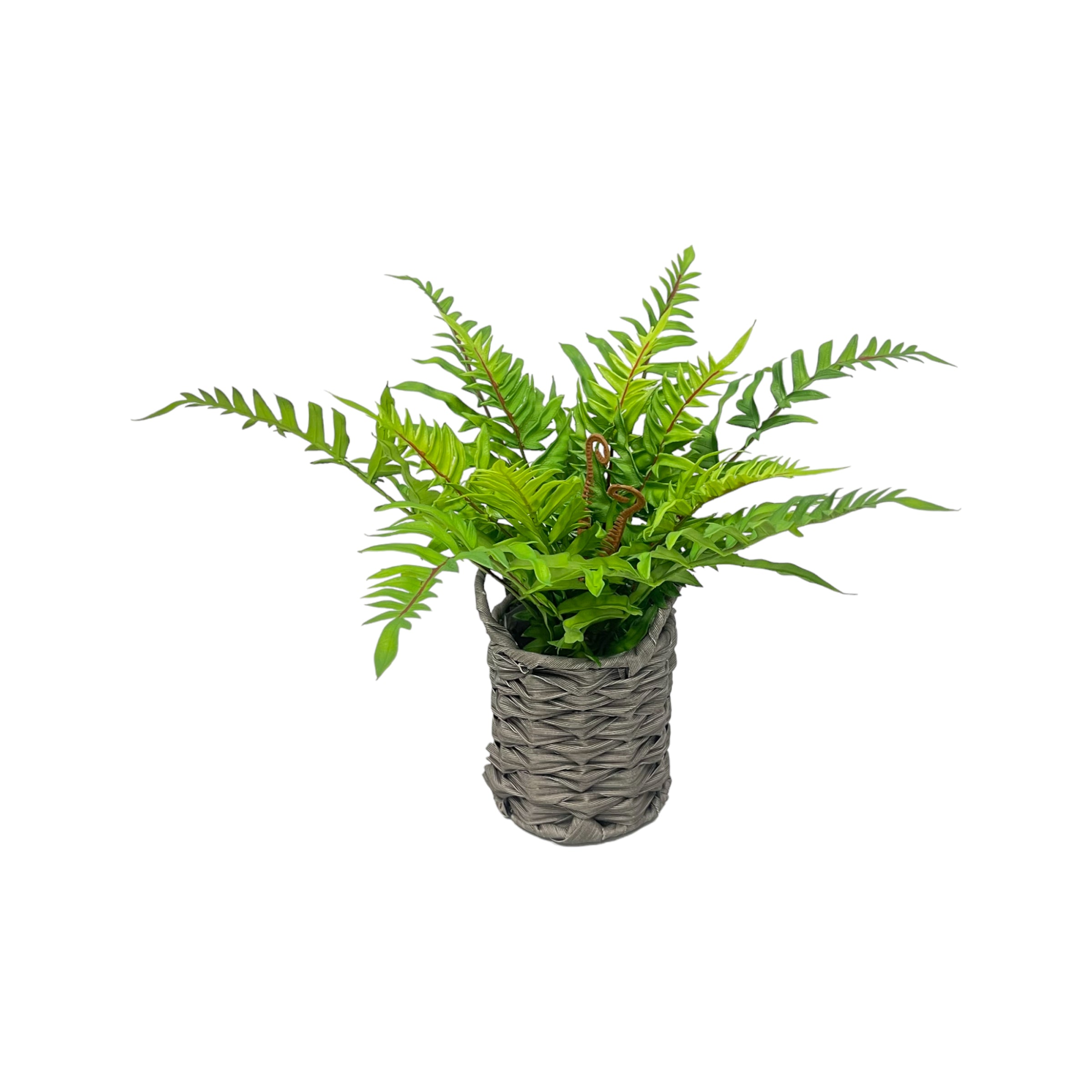 Helecho Artificial en Maceta Tejida Gris - Vilá Decoración - Muebles y decoración en Medellín y Colombia