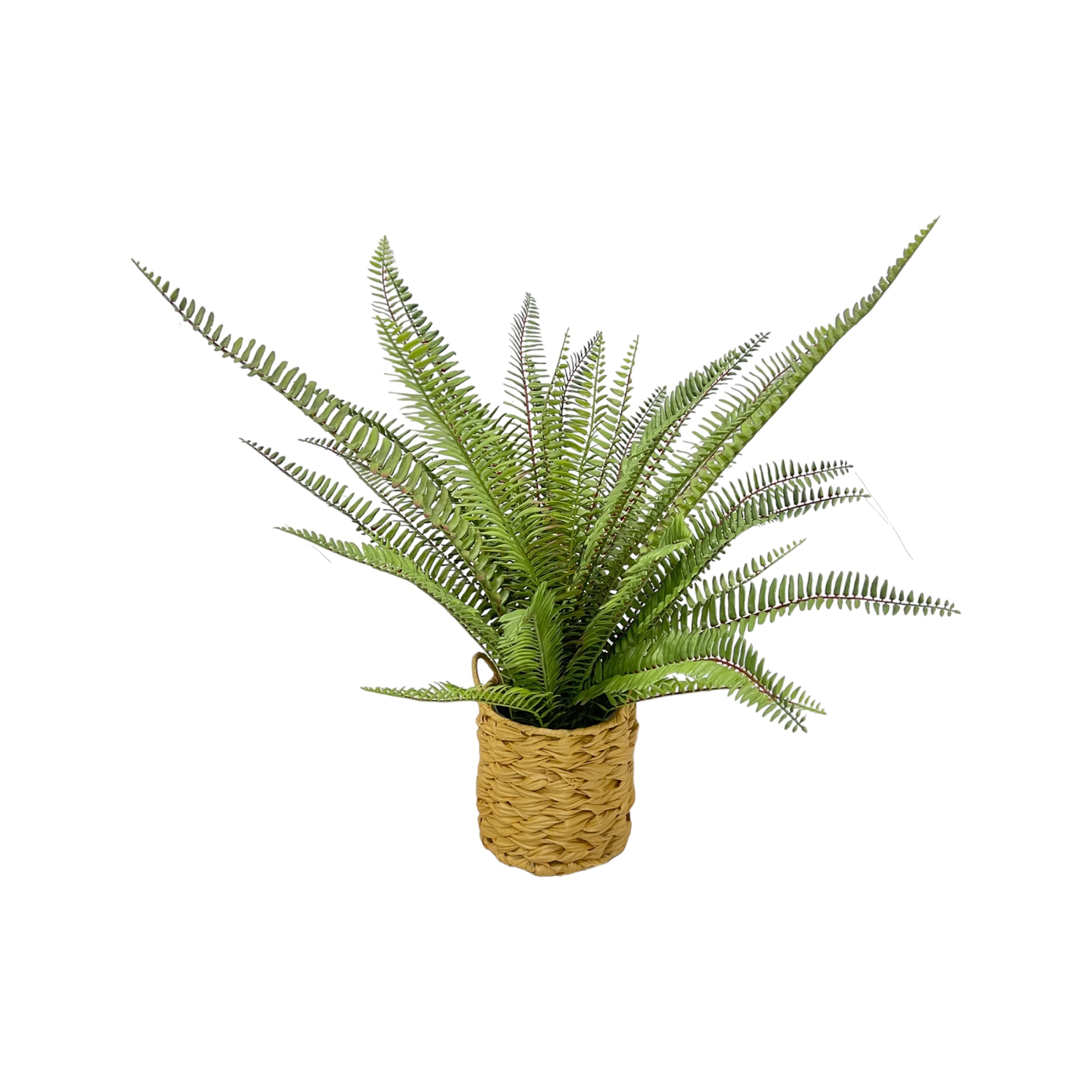 Helecho artificial en maceta beige para interiores - Vilá Decoración - Muebles y decoración en Medellín y Colombia