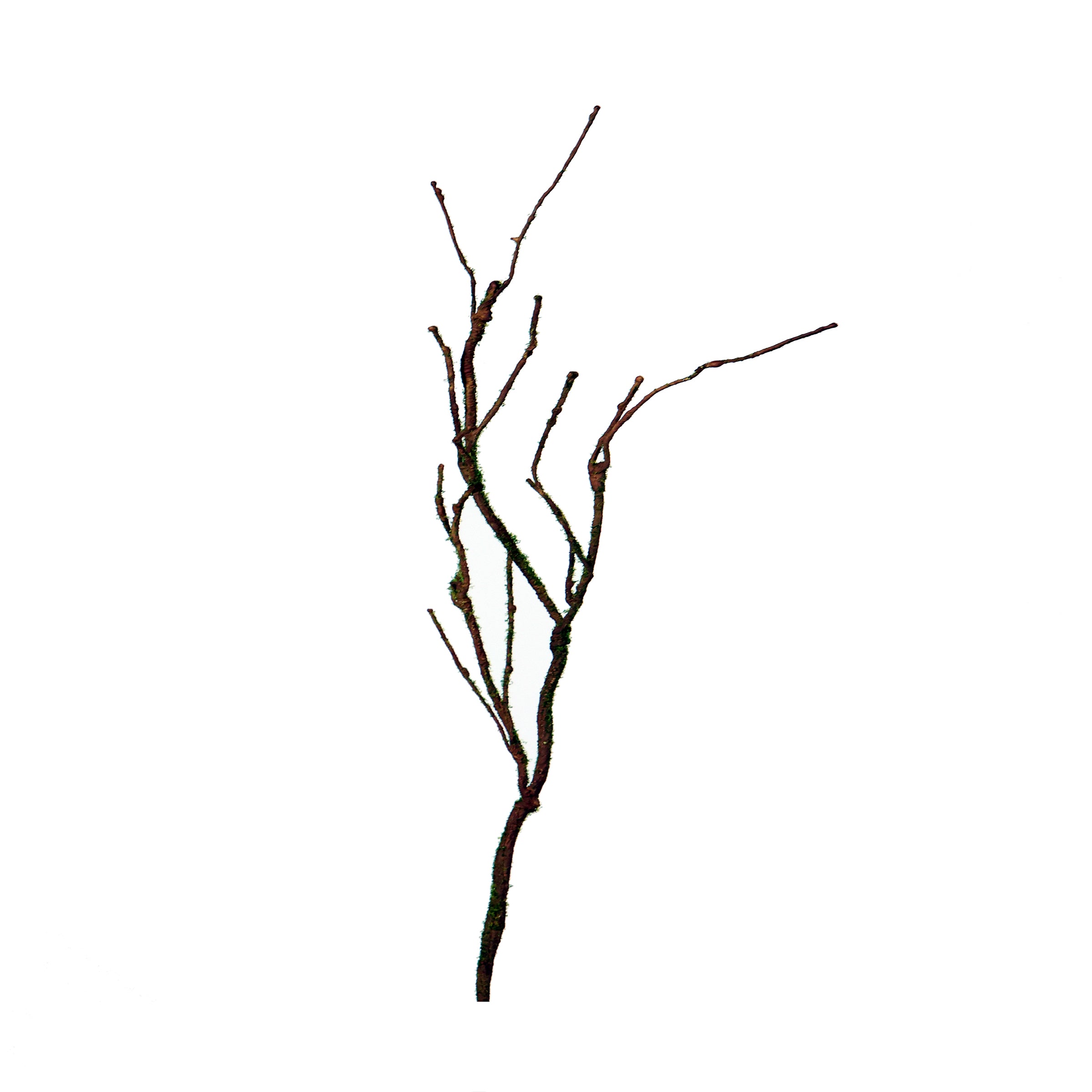 Rama decorativa marrón flexible para hogar - Vilá Decoración - Muebles y decoración en Medellín y Colombia