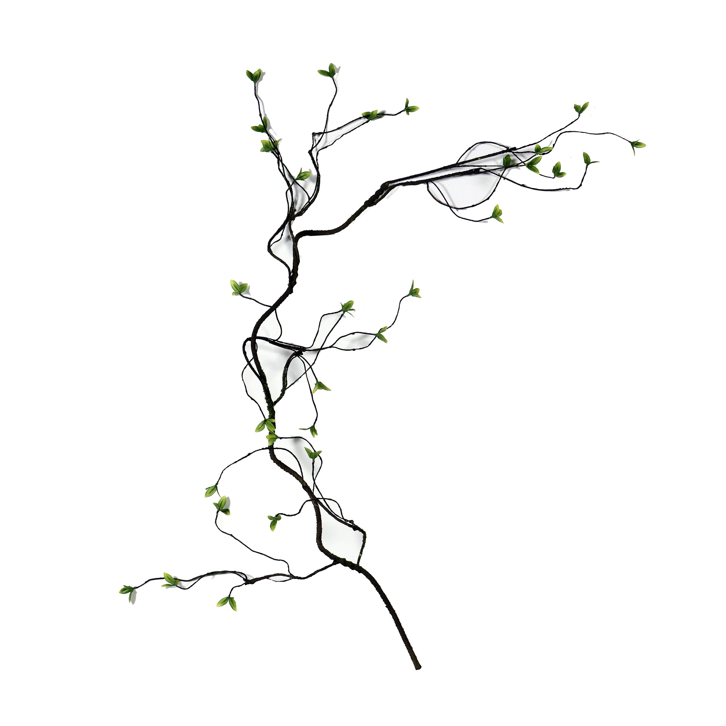 Rama decorativa negra con hojas verdes interior - Vilá Decoración - Muebles y decoración en Medellín y Colombia