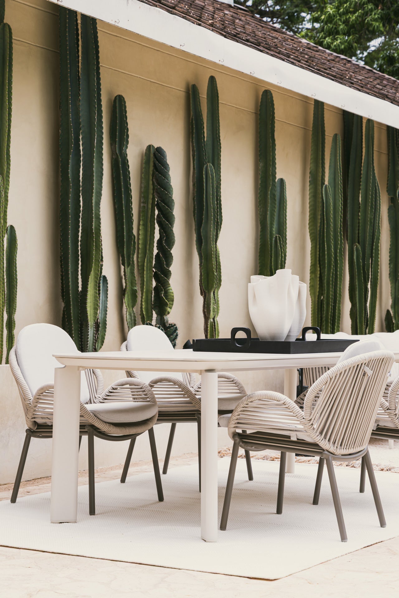 Mesa de comedor exterior con sillas de lujo, ideal para patio o terraza, rodeada de cactus altos.