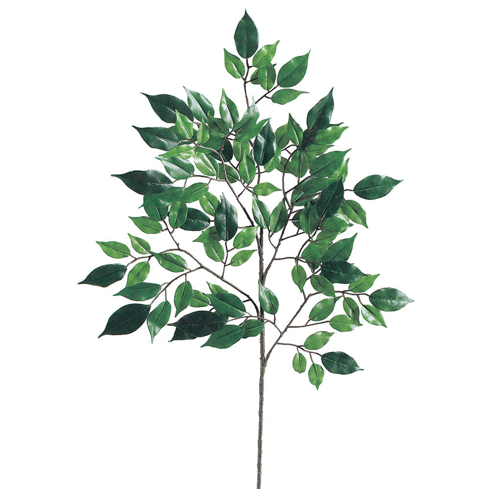 Rama de Ficus decorativa verde para interior - Vilá Decoración - Muebles y decoración en Medellín y Colombia