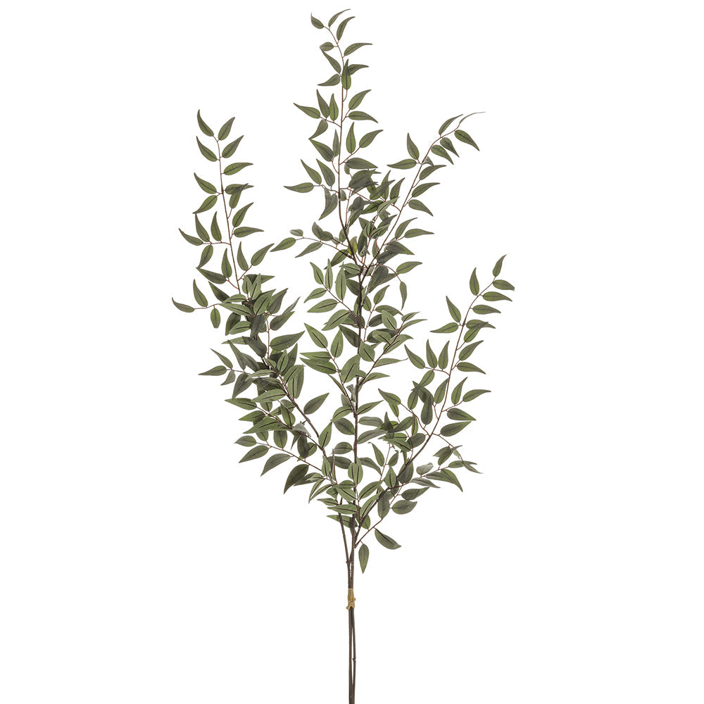 Rama decorativa de Ruscus Italiano verde - Vilá Decoración - Muebles y decoración en Medellín y Colombia