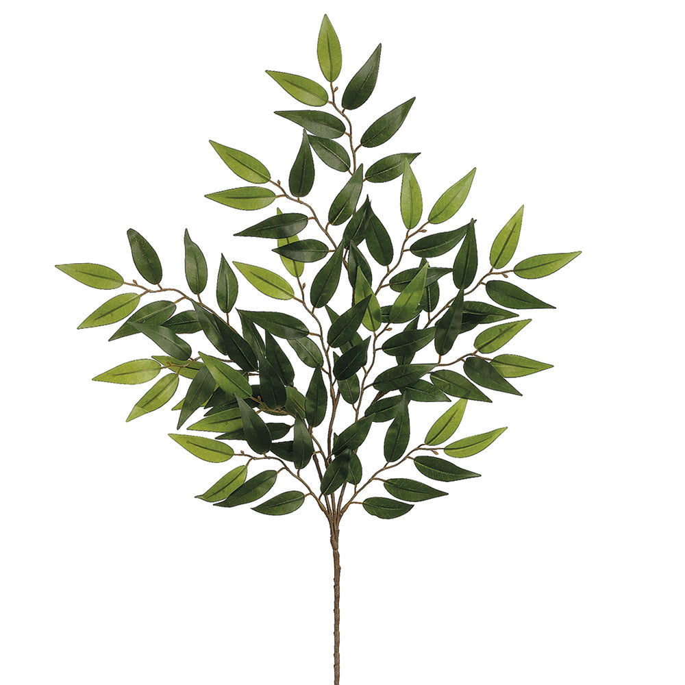 Rama decorativa Smilax verde 70-90 cm - Vilá Decoración - Muebles y decoración en Medellín y Colombia
