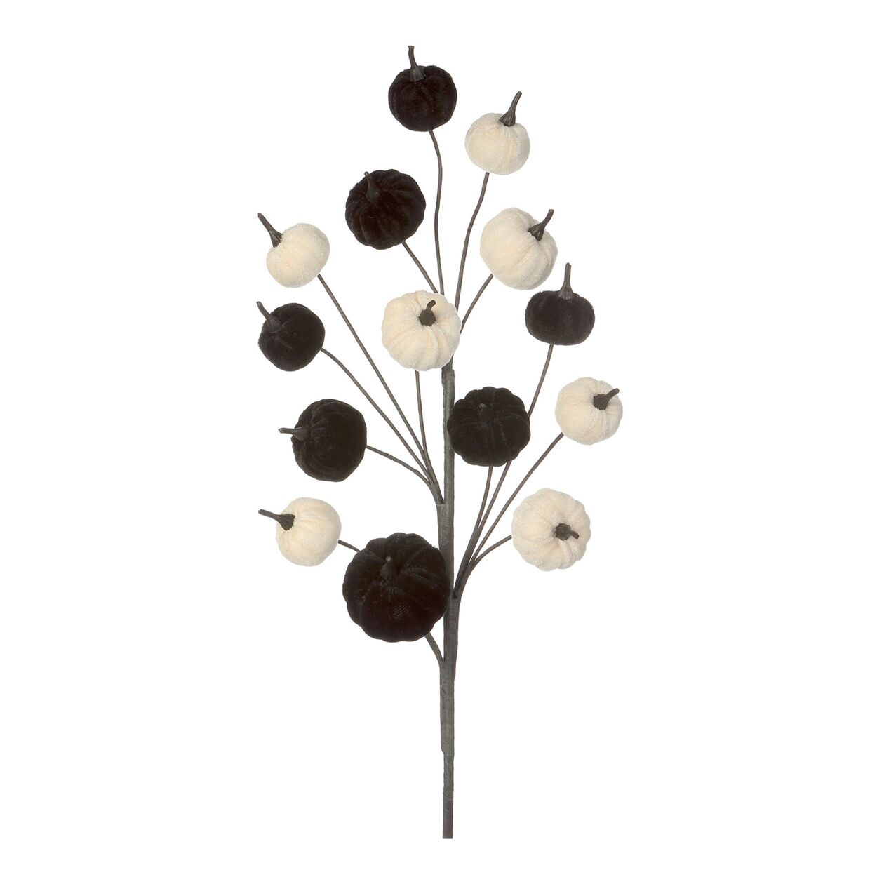 Ramo de calabazas blancas y negras para interiores - Vilá Decoración - Muebles y decoración en Medellín y Colombia