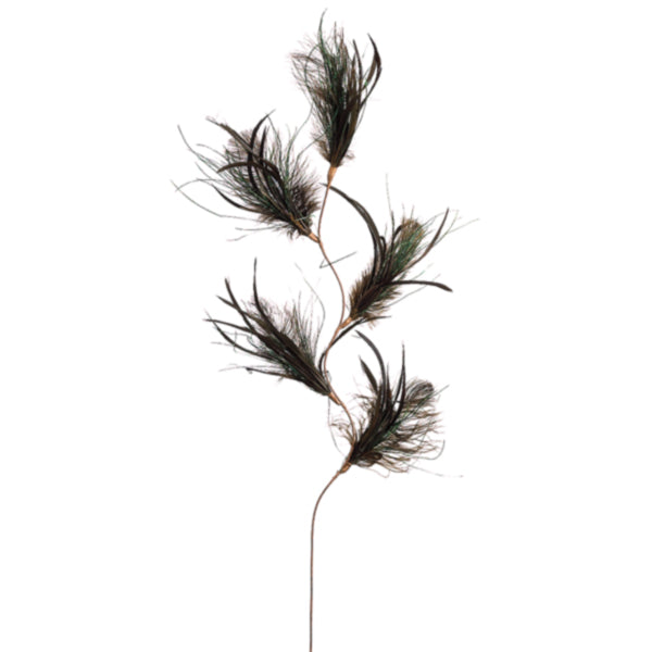 Plumas negras de avestruz para decoración interior - Vilá Decoración - Muebles y decoración en Medellín y Colombia