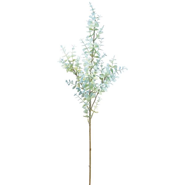 Rama decorativa de eucalipto verde 60-80 cm - Vilá Decoración - Muebles y decoración en Medellín y Colombia