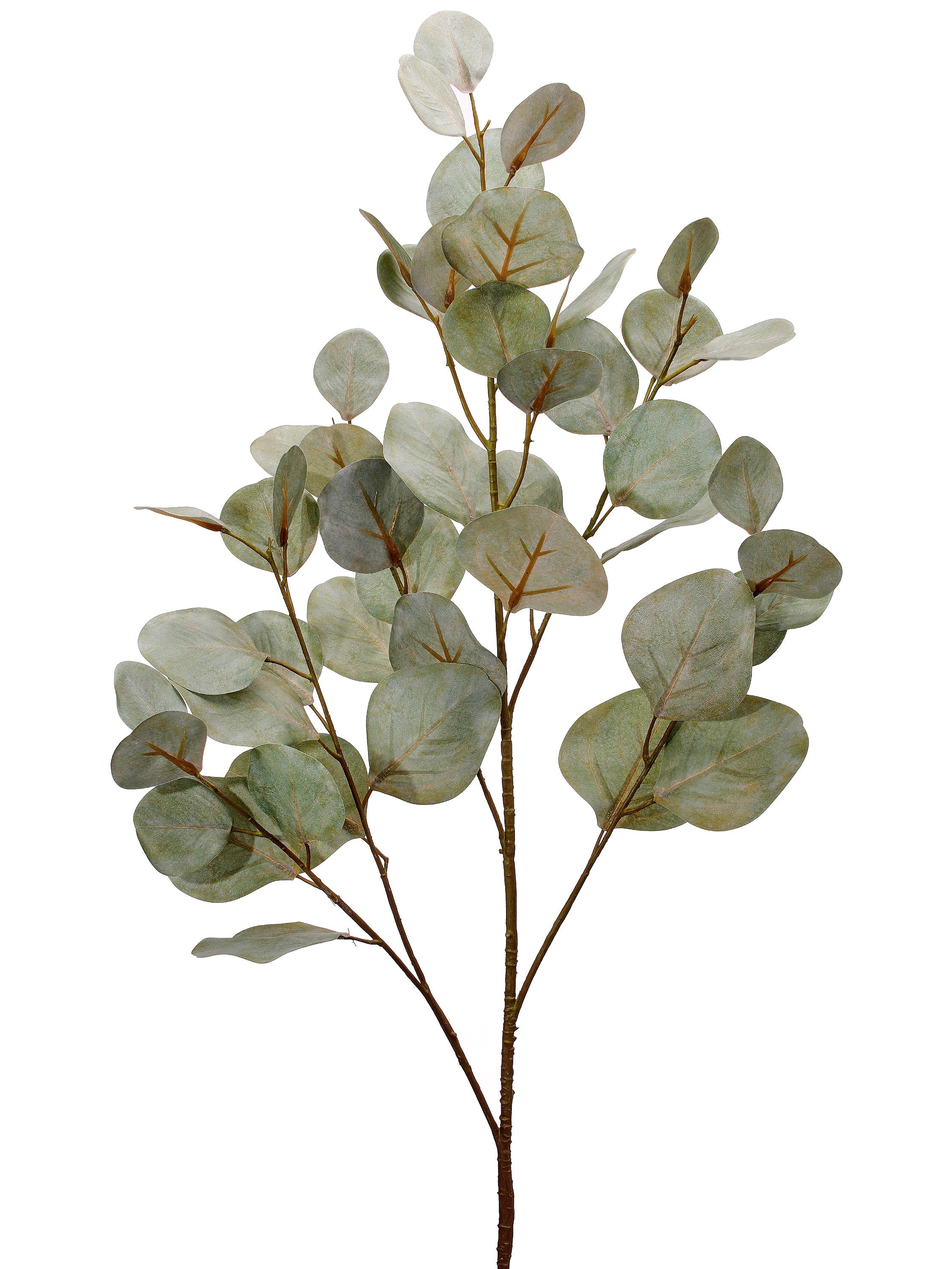 Rama de eucalipto artificial decorativa verde - Vilá Decoración - Muebles y decoración en Medellín y Colombia
