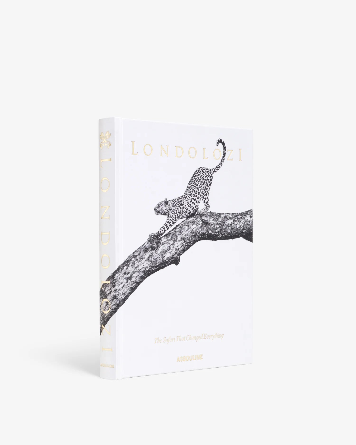 Libro decorativo Assouline Londolozi en blanco, con leopardo en rama y letras doradas, vista frontal.