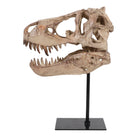 Escultura de lujo réplica de cráneo de dinosaurio en tono hueso sobre pedestal negro.