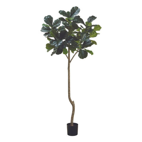 Planta artificial Ficus hoja violín verde para interior - Vilá Decoración - Muebles y decoración en Medellín y Colombia