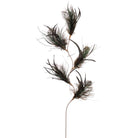 Plumas negras de avestruz para decoración interior - Vilá Decoración - Muebles y decoración en Medellín y Colombia