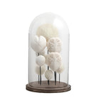 Accesorio decorativo blanco con campana de vidrio - Vilá Decoración - Muebles y decoración en Medellín y Colombia