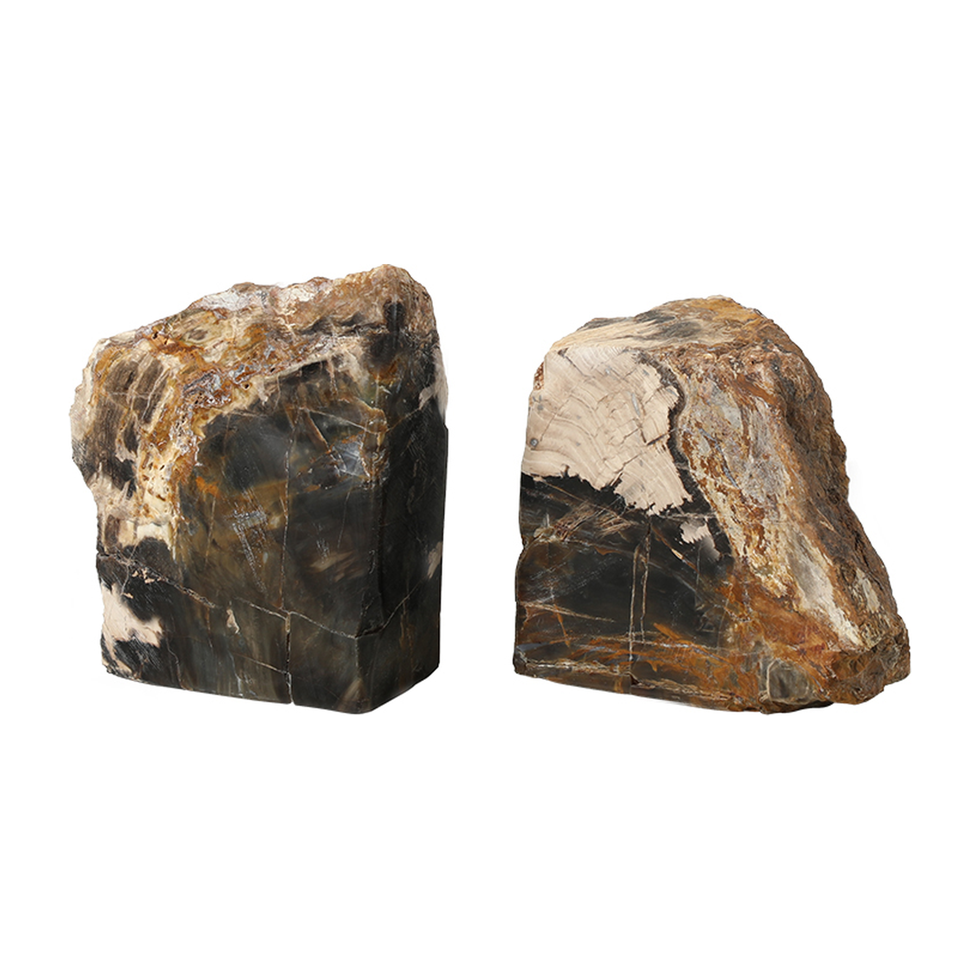 Par de sujetalibros de piedra petrificada, exhibiendo texturas naturales marrones, negras y grises