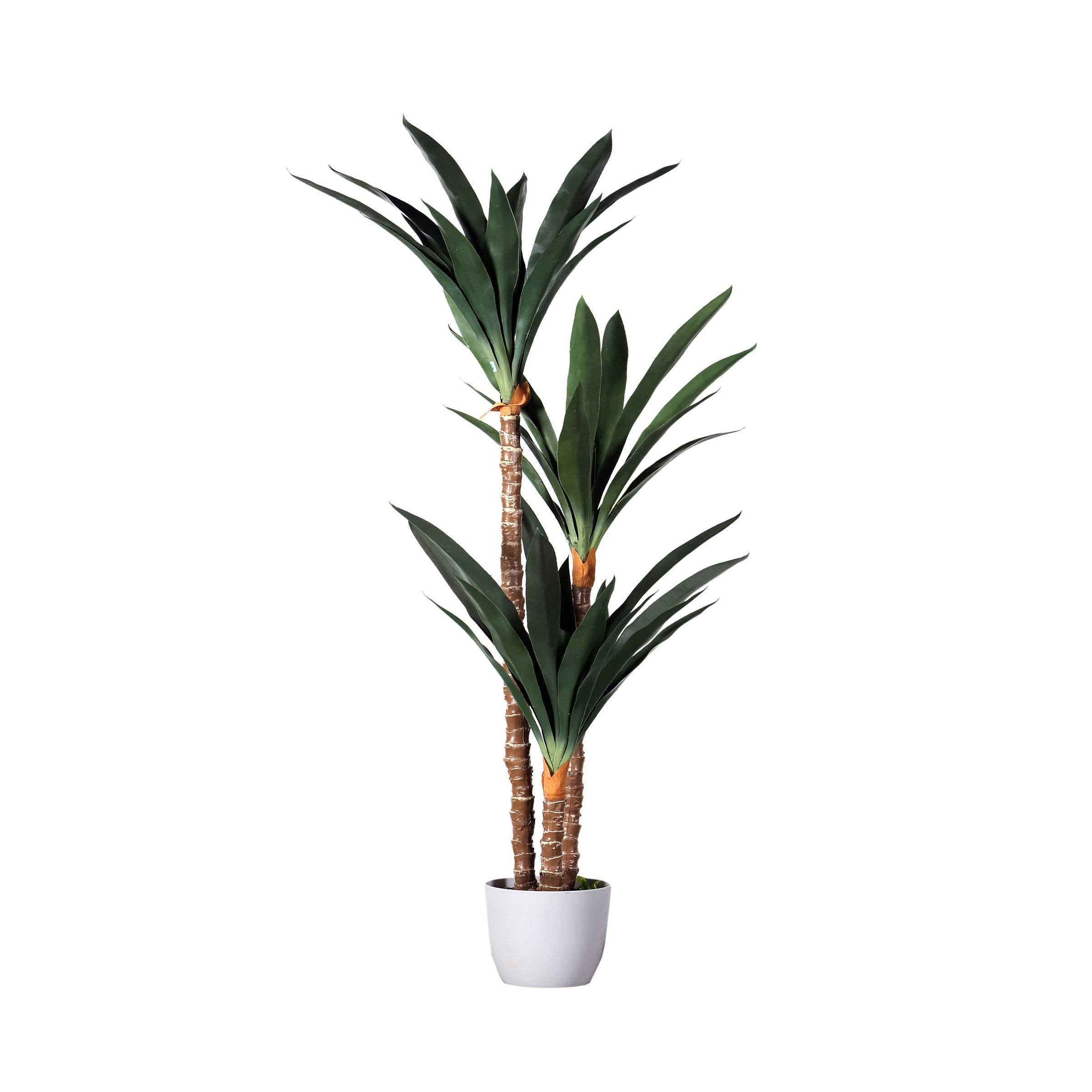 Planta Dracena decorativa con macetero blanco - Vilá Decoración - Muebles y decoración en Medellín y Colombia