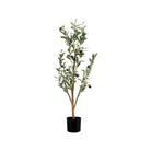 Árbol decorativo de olivo con frutos verde en maceta negra - Vilá Decoración - Muebles y decoración en Medellín y Colombia