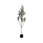 Árbol de olivo artificial con frutos 1,52 m - Vilá Decoración - Muebles y decoración en Medellín y Colombia