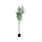 Árbol artificial de olivo 1,83 m para interiores - Vilá Decoración - Muebles y decoración en Medellín y Colombia