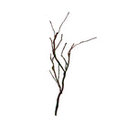 Rama decorativa marrón flexible para hogar - Vilá Decoración - Muebles y decoración en Medellín y Colombia