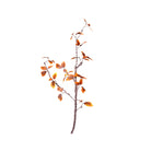 Rama decorativa otoñal para interior cálida - Vilá Decoración - Muebles y decoración en Medellín y Colombia