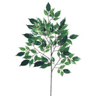 Rama de Ficus decorativa verde para interior - Vilá Decoración - Muebles y decoración en Medellín y Colombia