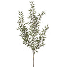 Rama decorativa de Ruscus Italiano verde - Vilá Decoración - Muebles y decoración en Medellín y Colombia
