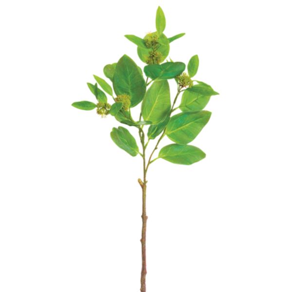 Rama decorativa viburnum verde para interiores - Vilá Decoración - Muebles y decoración en Medellín y Colombia